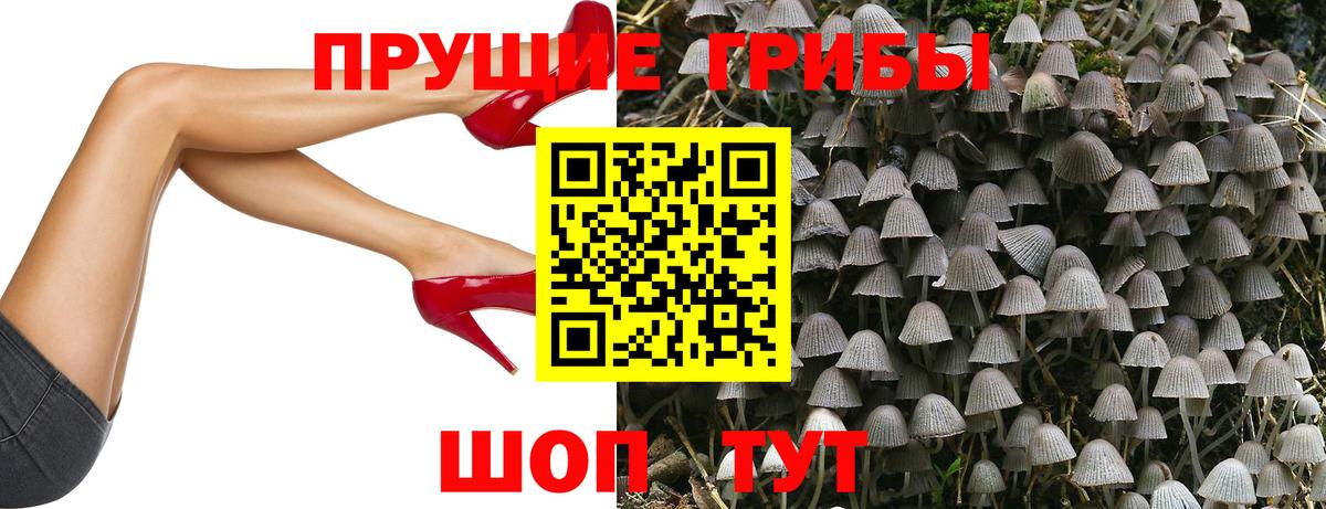 Кувандык  как найти закладки  Вход с VPN  Галлюциногенные грибы Cubensis 